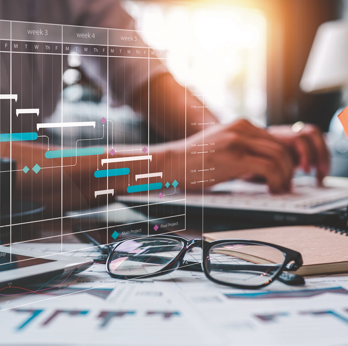 automatic enrolement timeline