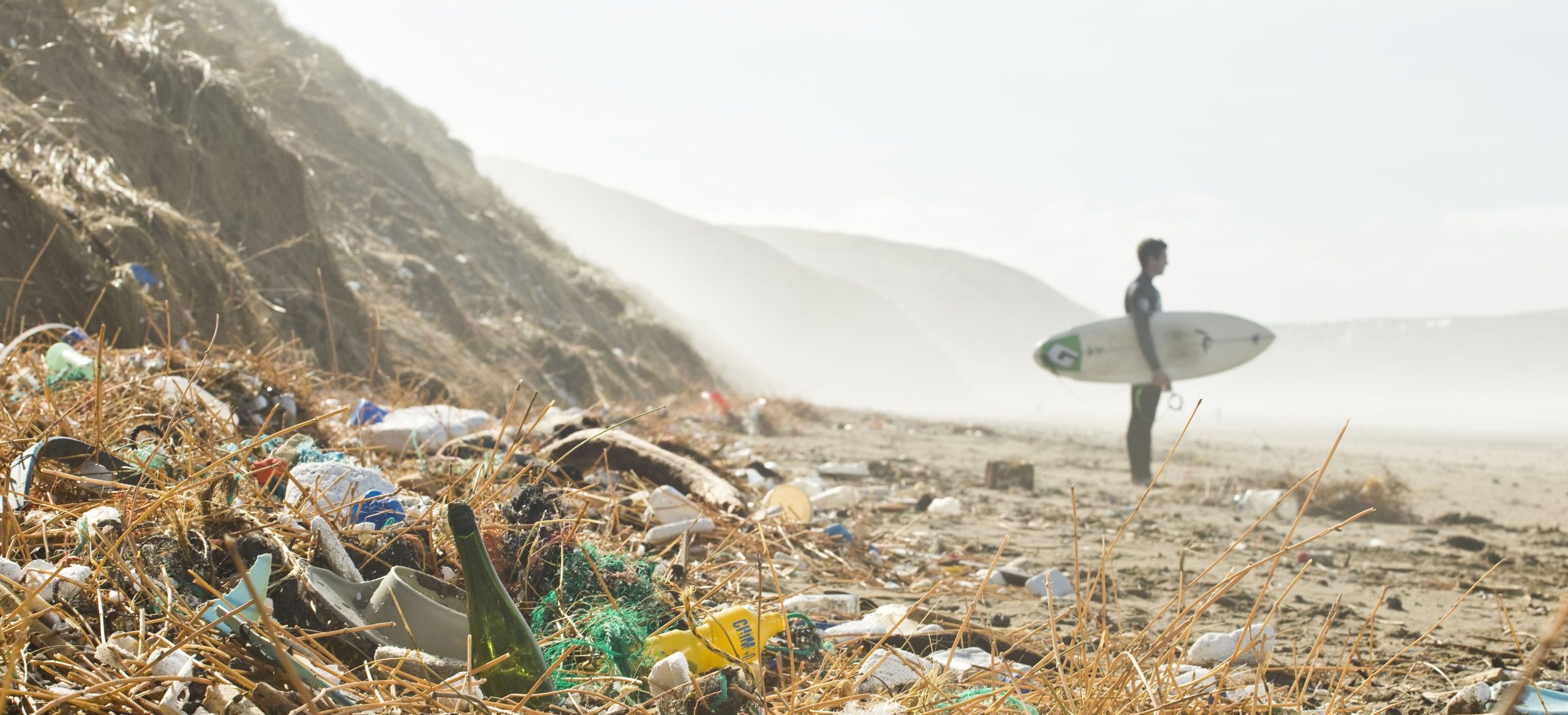 Surfer standing on beach