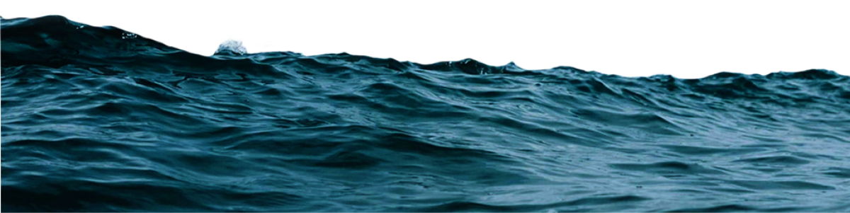 Footer Wave