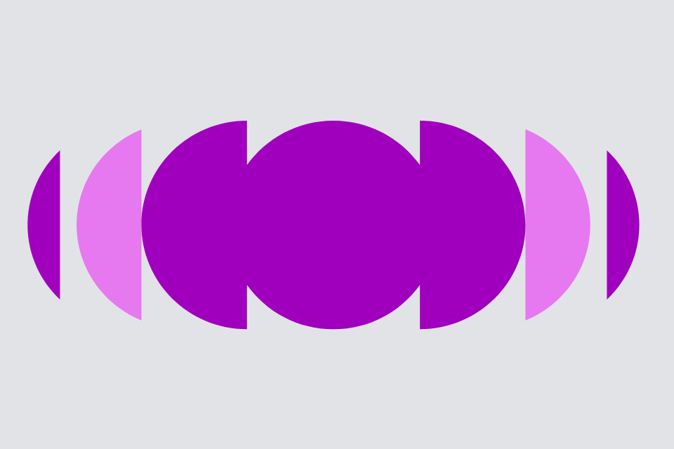 Aspiring Director Institute of Directors