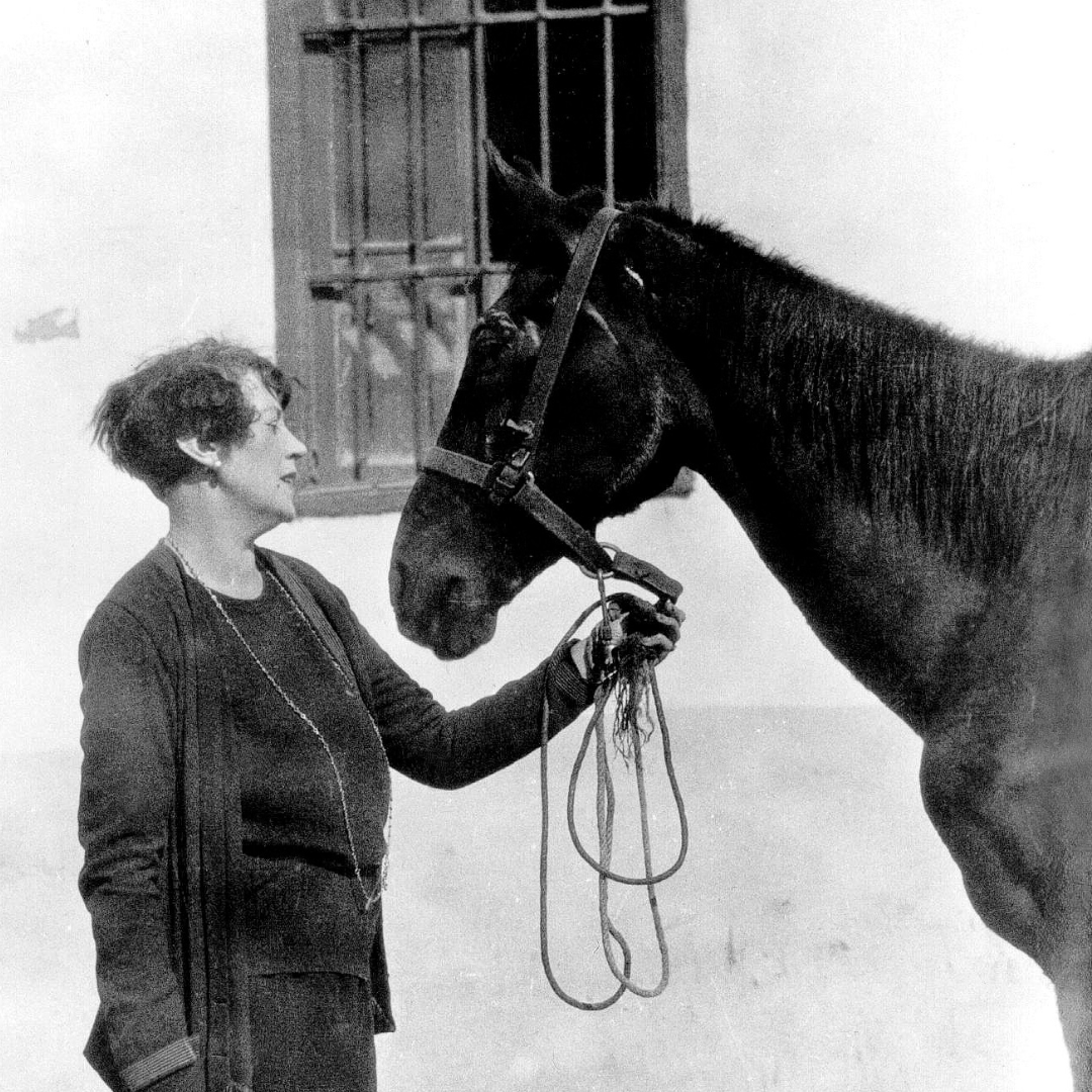 Dorothy Brooke face to face with horse