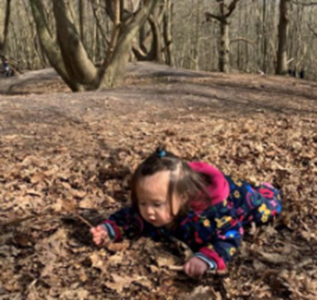 A child crawling in leaves in a forest