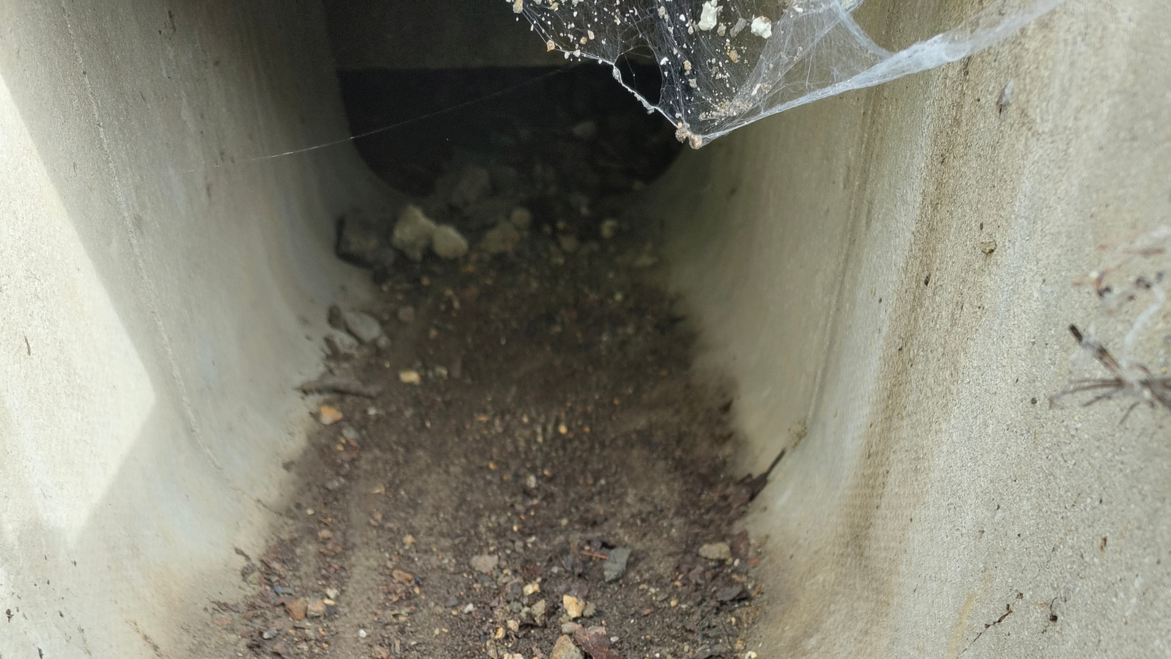 Inside toad tunnels running underneath the Guided Busway track