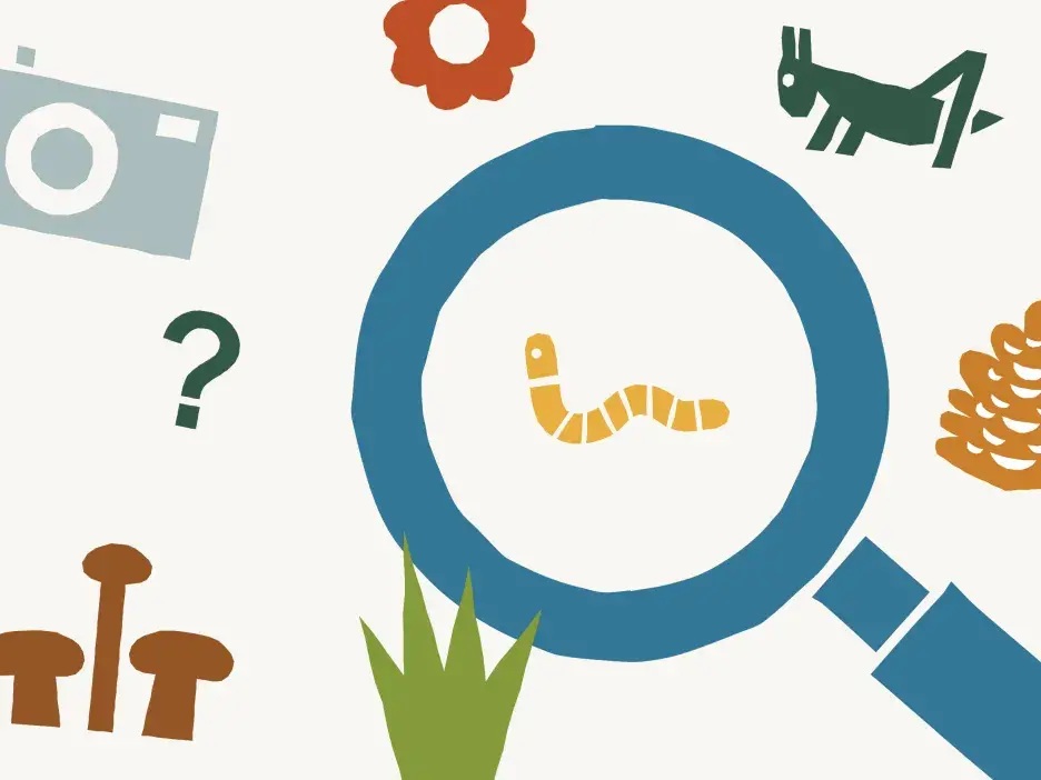 Illustration featuring a large blue magnifying glass focusing on a yellow segmented worm at centre, surrounded by various nature-themed icons including mushrooms, grass, a flower, a camera, a question mark, a pinecone, and a small animal.