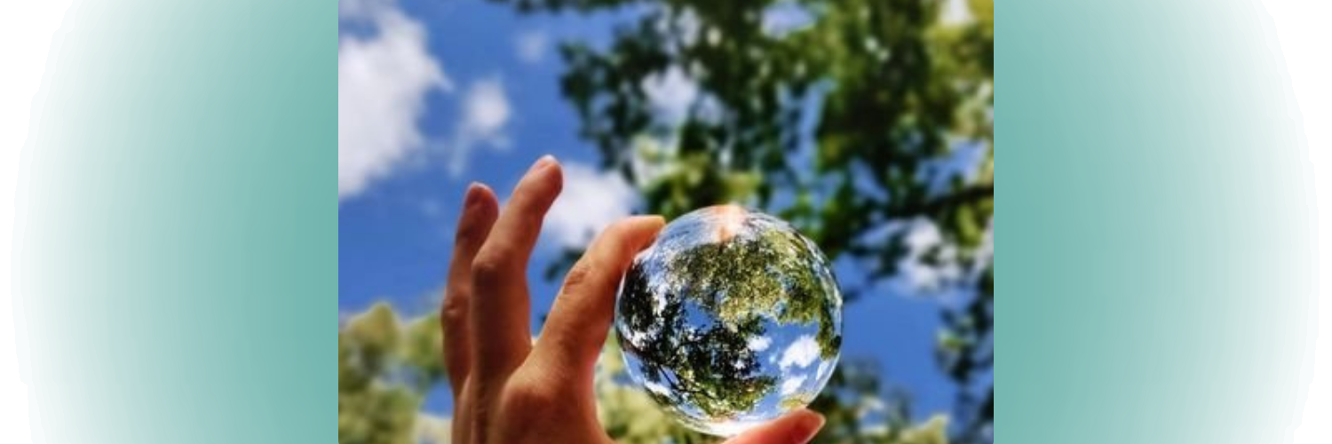 Hand holding a glass sphere reflecting trees and sky