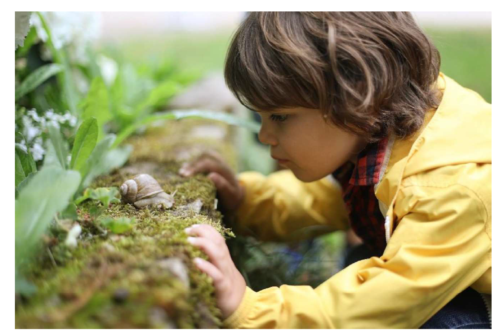 A child looking at a snail