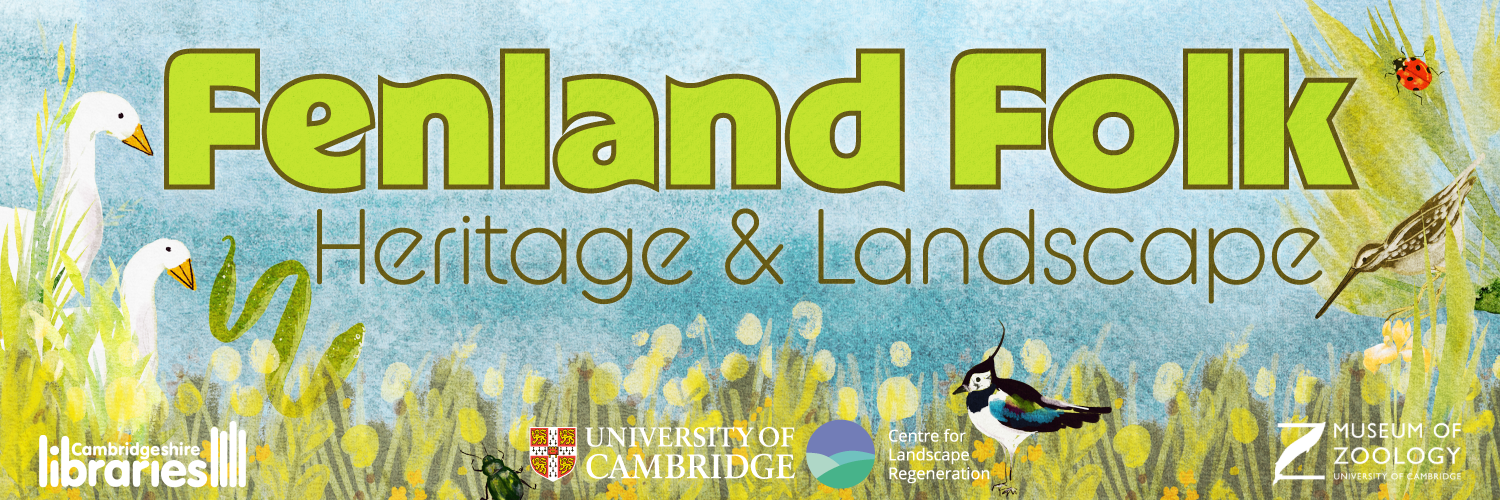 Image shows a Fenland landscape with geese, snakes and other birds with the text 'Fenland Folk Heritage and Landscape' in large green writing with the Cambridgeshire Libraries, University of Cambridge, Museum of Zoology and Landscape for Regeneration logos at the bottom of the image.