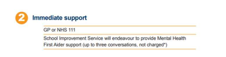 immediate support for mental health snip