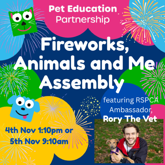 Fireworks and pets event flyer