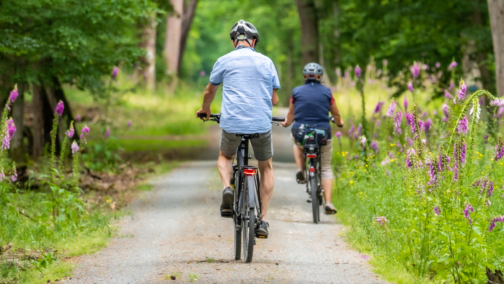 Two people riding bikes along a path lined with summer flowers