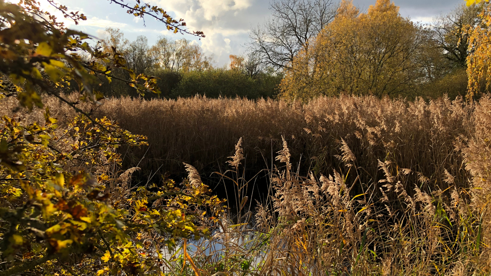 Cambridgeshire nature reserve