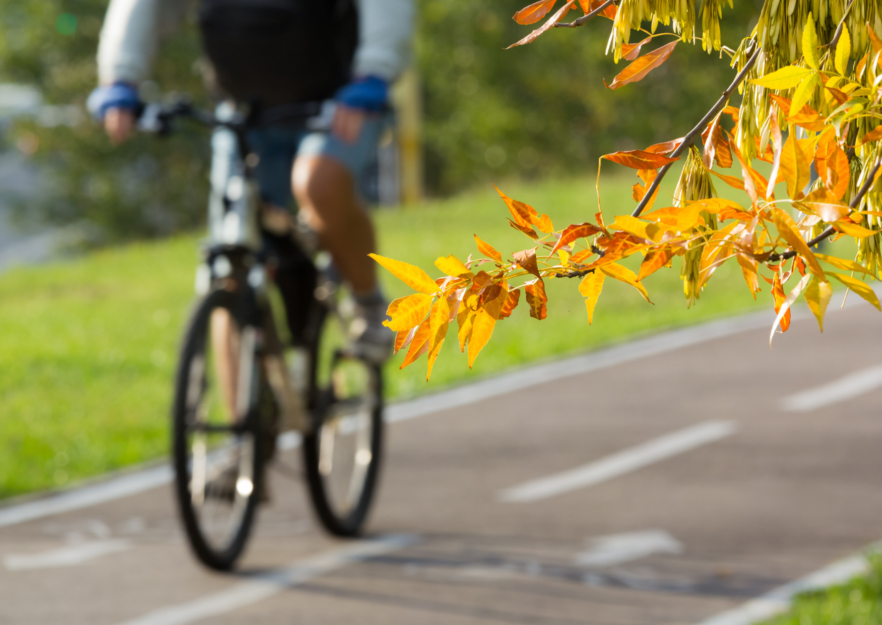 Person cycling on a cycle path