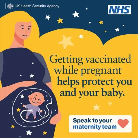 A digital illustration promoting vaccination during pregnancy features a pregnant person with a visible baby inside their womb,