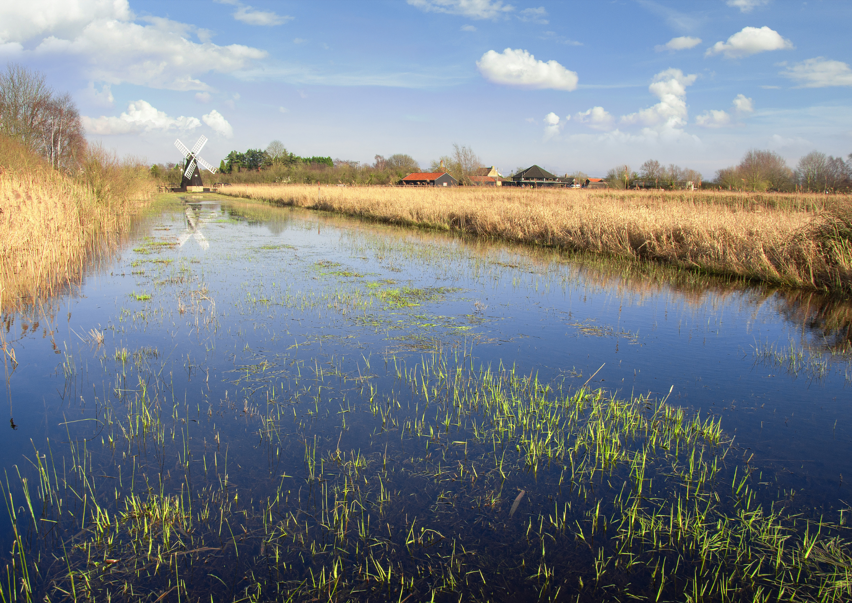 Image of a Cambridgeshire river