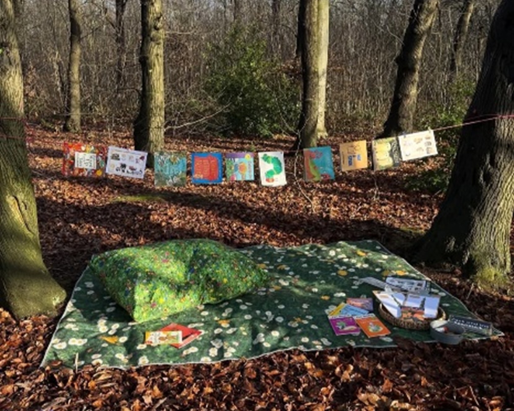 Outdoor reading setup in a wooded area.