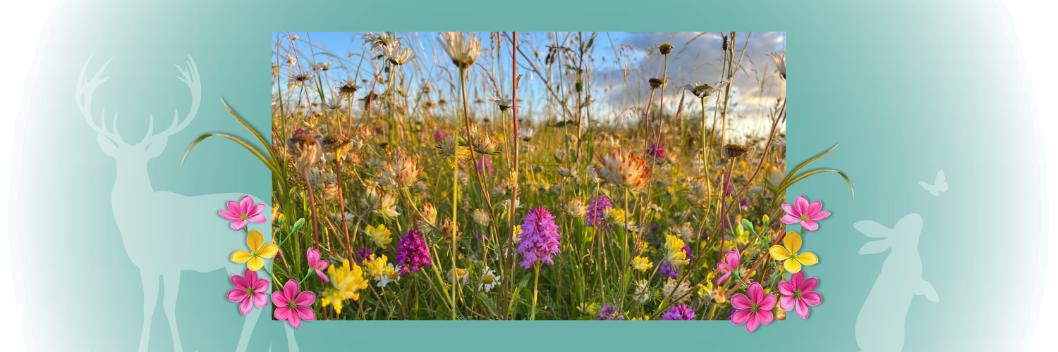 Image of a field of flowers with the silhouette of a stag, a rabbit and a butterfly