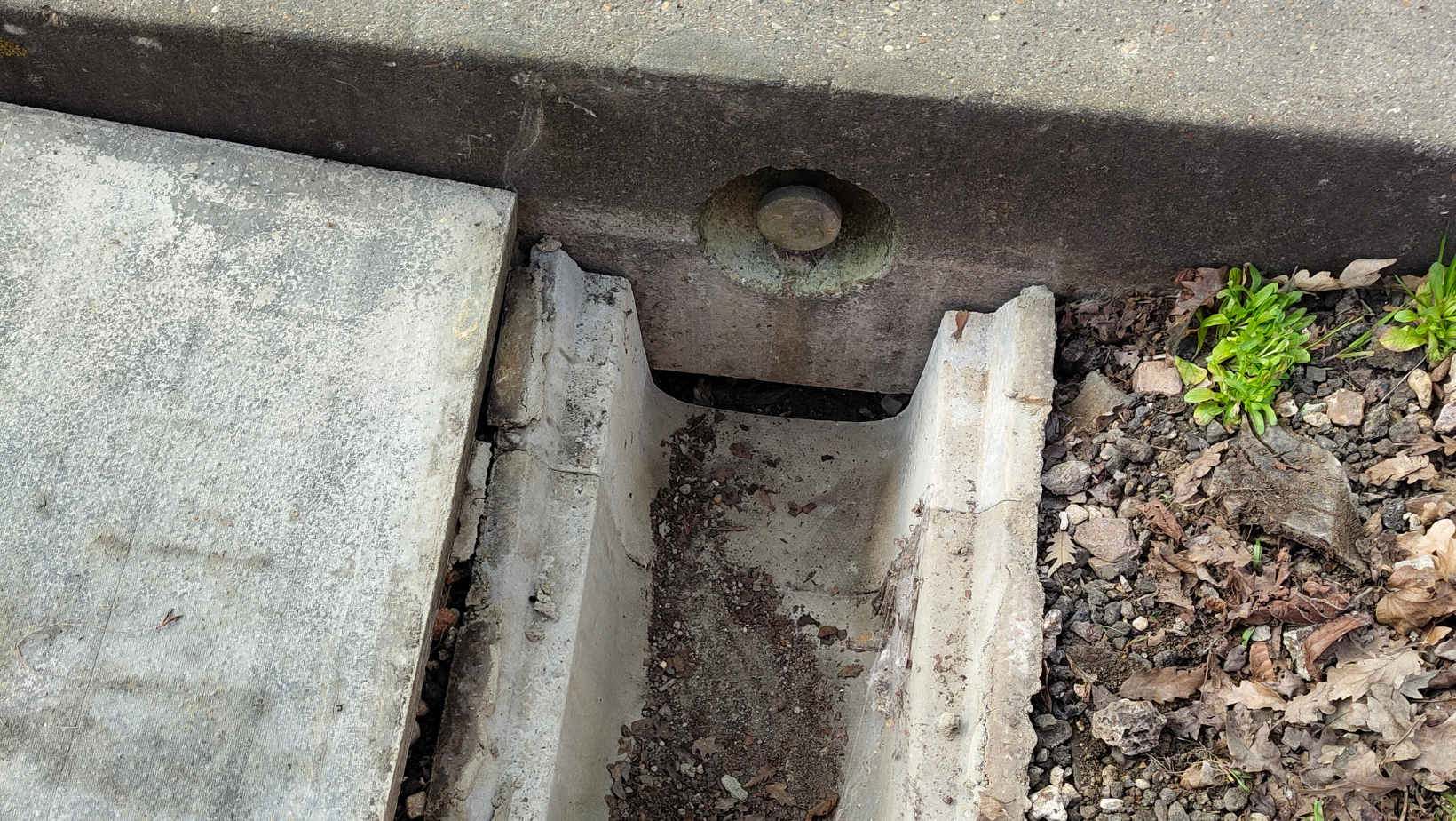 Toad tunnel going underneath the Guided Busway track
