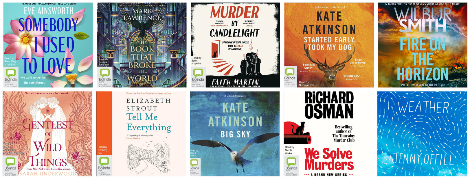 Image of ten eAudio Book covers