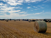 A farmers' field with a circular hay bale in the foreground and a blue sky with wispy clouds above.