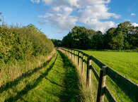 A country path with a fence to its right curves towards the horizon, where a row of trees sits beneath white clouds in a blue sky.