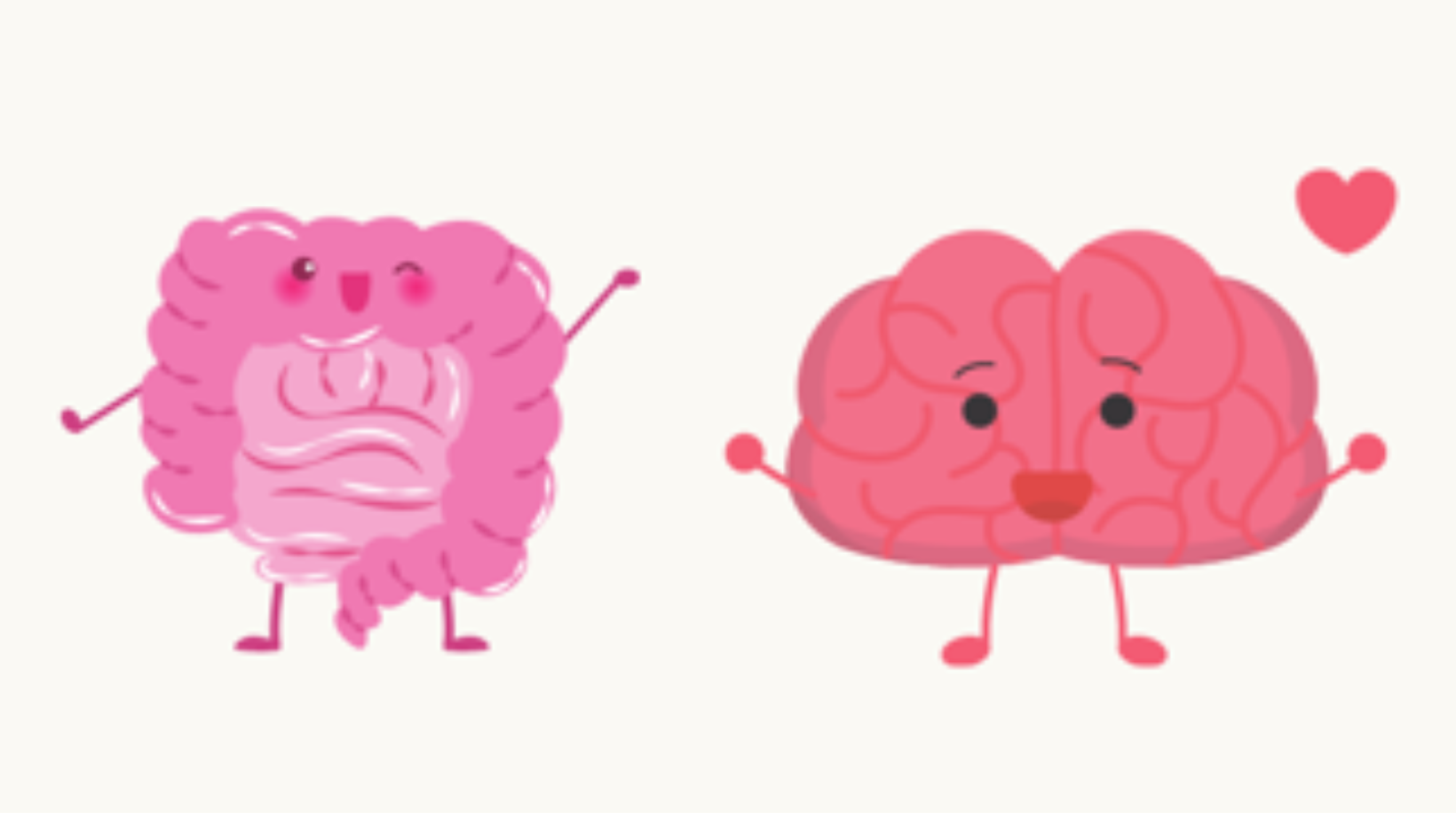 An image of the brain and intestines as happy graphics