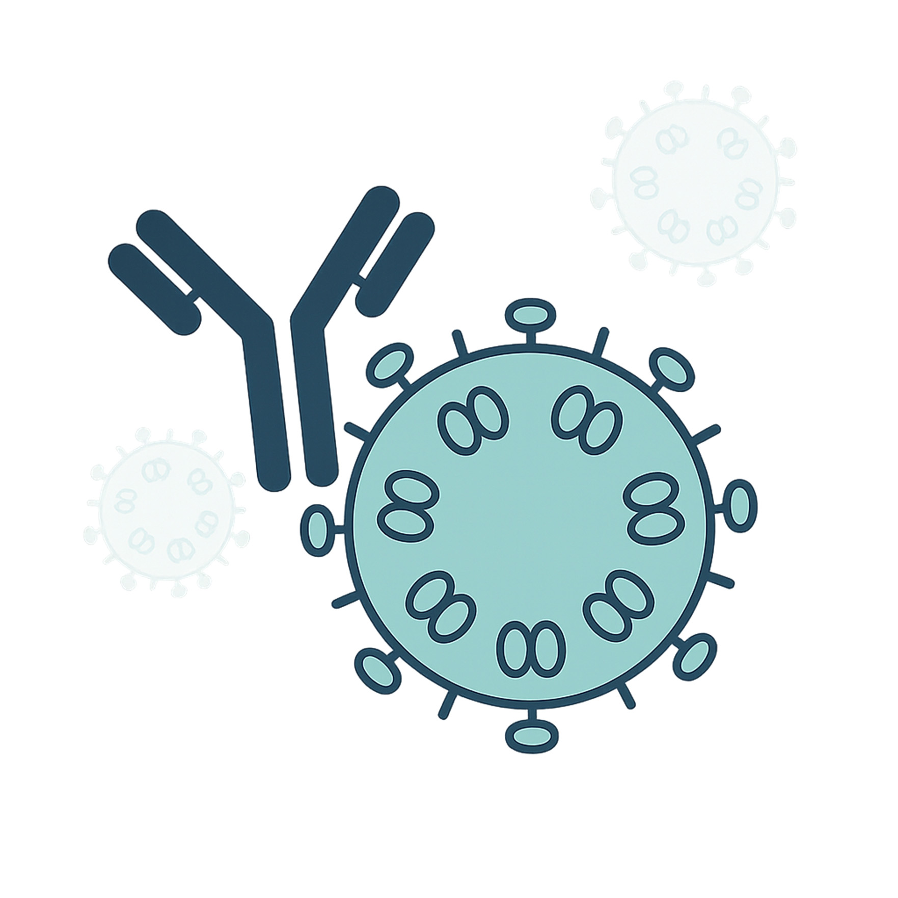 An illustration of an antibody binding to a virus particle