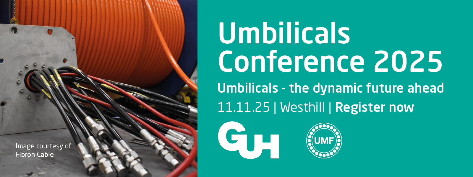 Artwork for 'Umbilicals Conference 2025' event