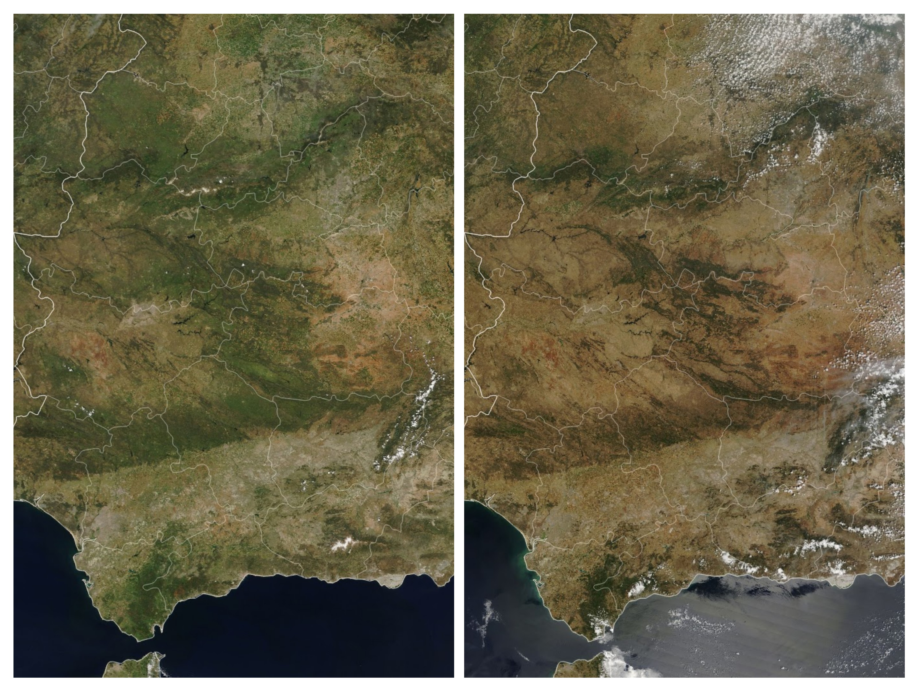 Side by side satellite images showing where green vegetation has turned brown over southern Spain