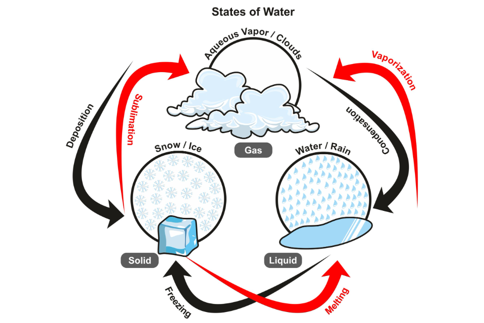 States of water vapour